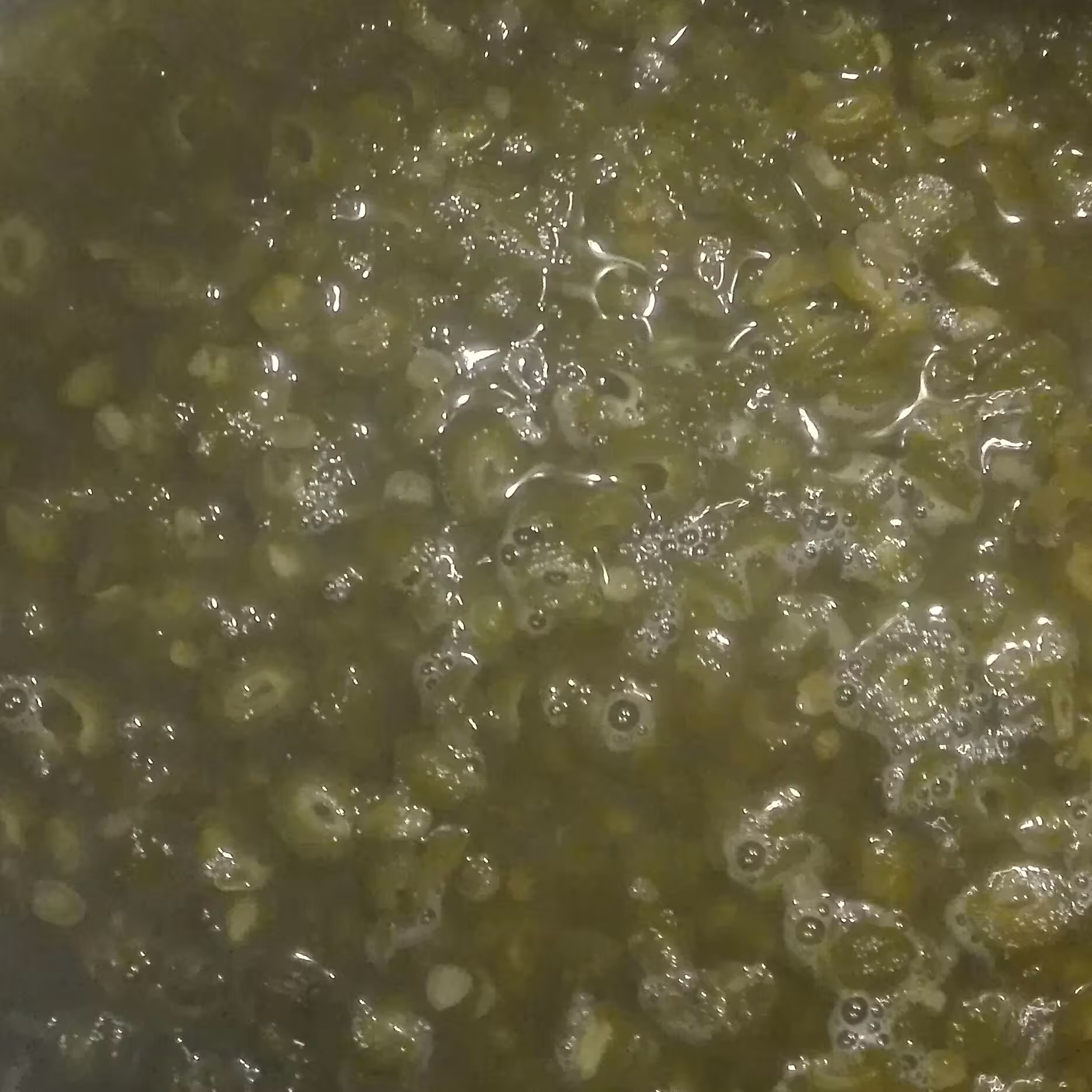 مربای چغاله زردآلو