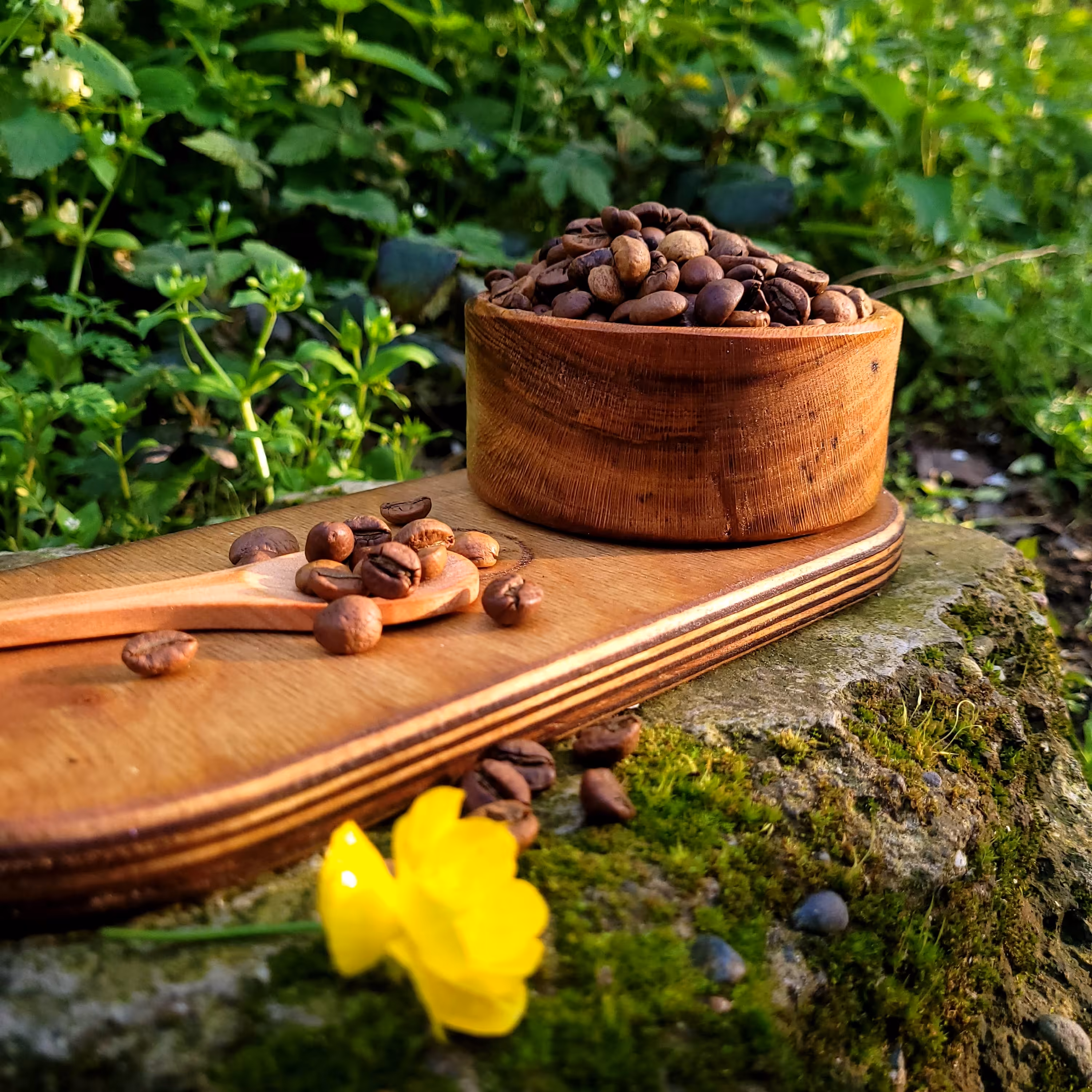 قهوه روبوستا ویتنام  250گرم  ربوستا  کافئین بالا  - قهوه اسپرسو  دان یا آسیاب برای اسپرسوساز - موکاپات فرنچ پرس دمی  و .