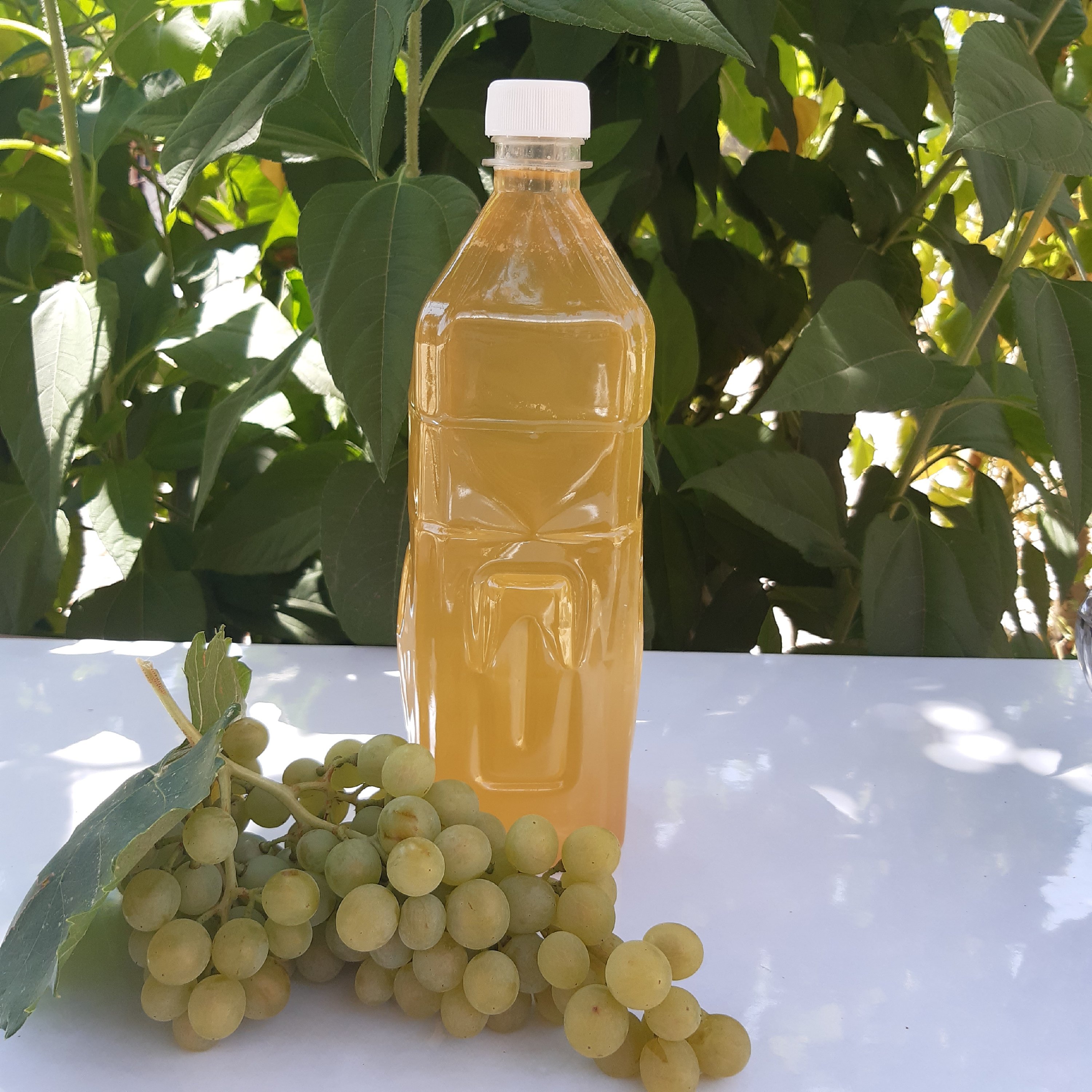 آبغوره ترش خالص و طبیعی (900 گرم)