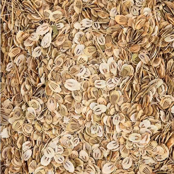 گلپر    خوشبو و خوش عطر 75گرم خالص بسته بندی  سلفونی کامل رسیده به رنگ زرد عالی با 2 درصد چروکه