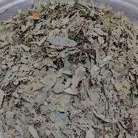  برگ سنا مکی اصل عربی درجه 1 (عربستان) نیم کیلو ( ارسال سراسر ایران رایگان)