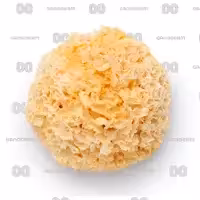 قارچ ترملا 100 گرم