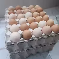 تخم مرغ بومی فریدن 30 تایی