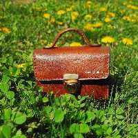 کیف کارت اعتباری چرم طبیعی گاوی مدل نیکی رنگ قهوه ای تیره برند مهر 