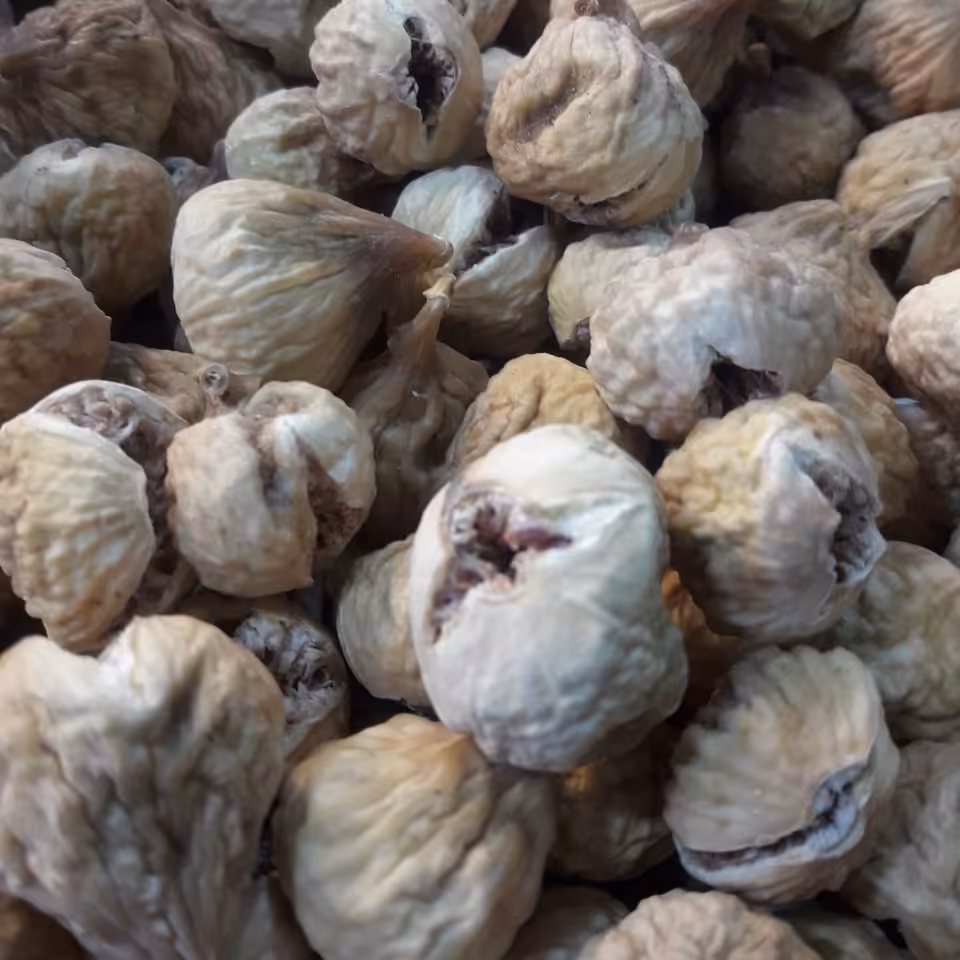 انجیره استهبان درشت