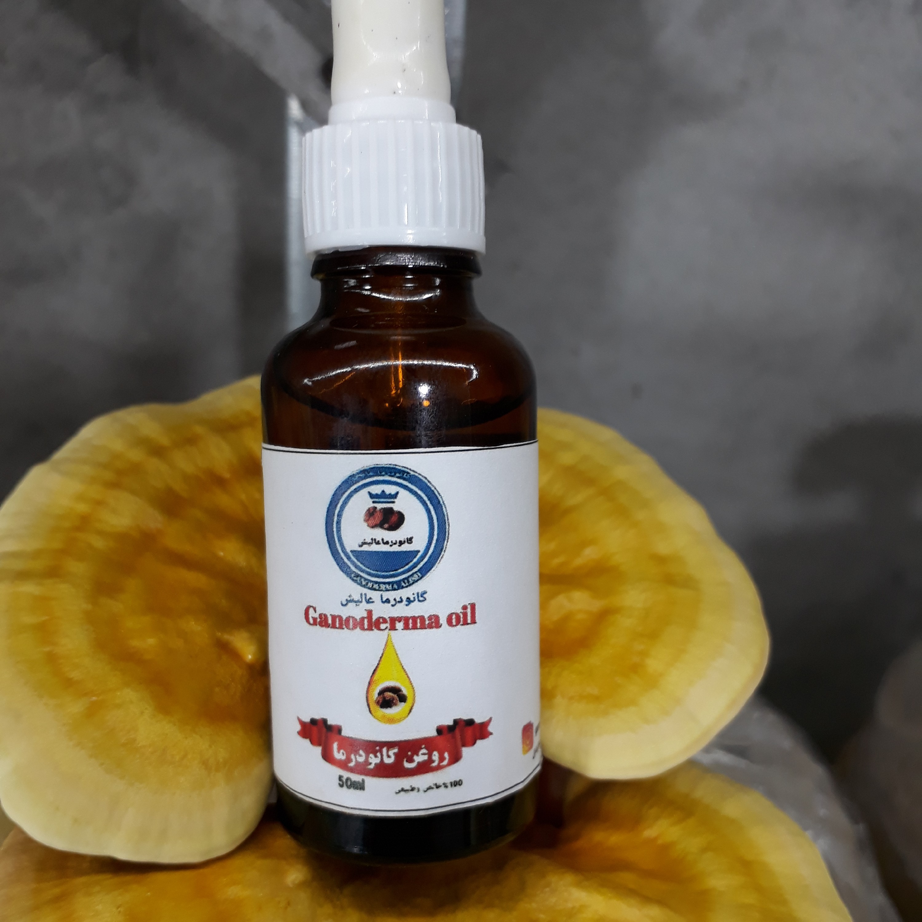 روغن قارچ گانودرما موثردردرمان اگزمااز بین برنده لکهای آفتاب سوختگی روشن کننده و آبرسان حاوی 400مواد مغذی می باشد