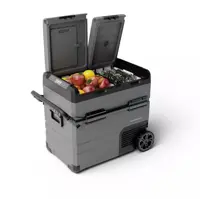 یخچال و فریزر مسافرتی هوشمند پاورلوژی مدل PPOF55LBR با ظرفیت 55 لیتر