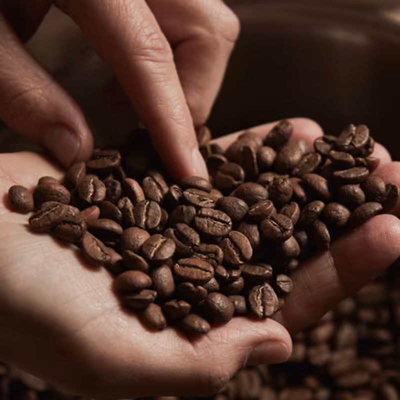 قهوه میکس صد در صد روبوستا