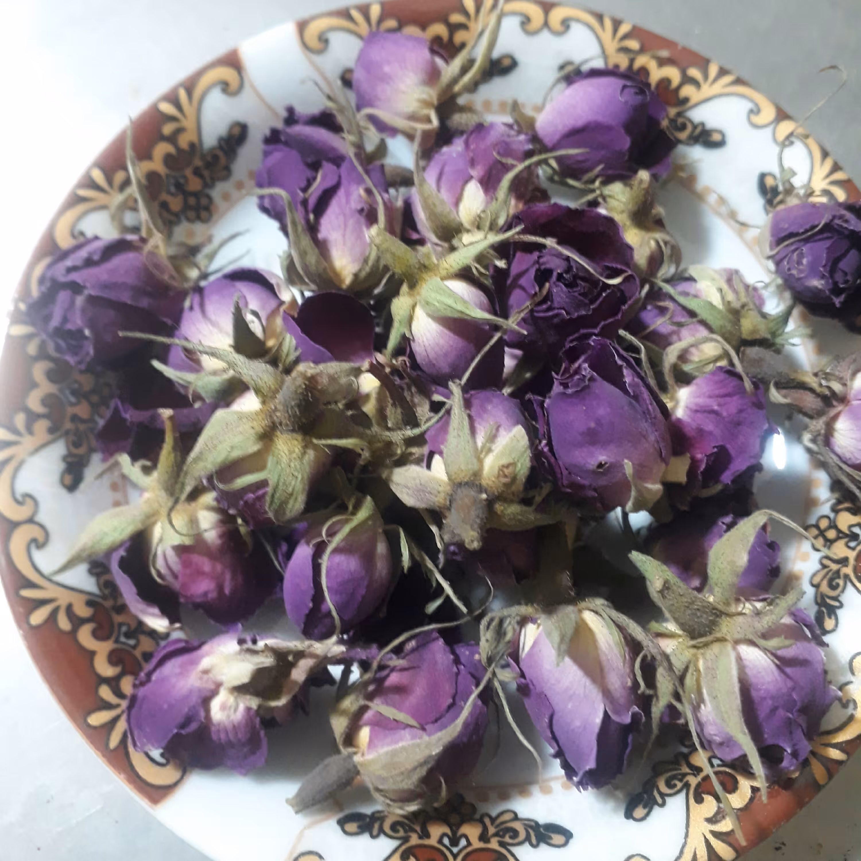 غنچه گل محمدی