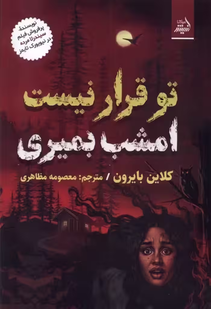 کتاب تو قرار نیست امشب بمیری مولانا