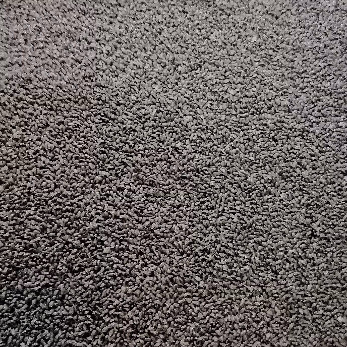 تخم شربتی ریز ( پاک شده و تمیز) 200 گرمی (پس کرایه)