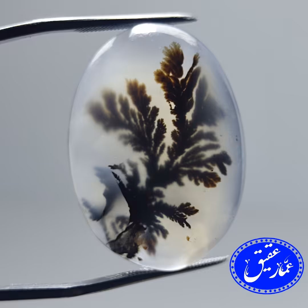 نگین عقیق شجر تک درخت درشت و قیمت مناسب 