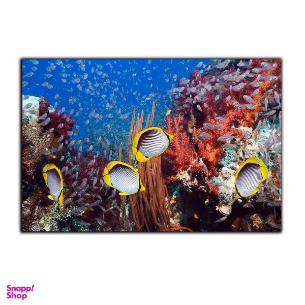 تابلو شاسی بکلیت طرح اقیانوس و ماهی مدل SH-7500