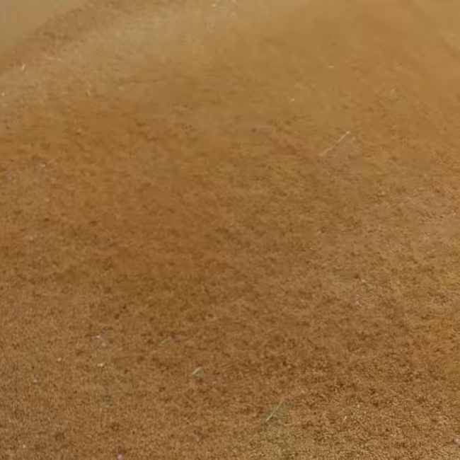 خاکشیر اعلا