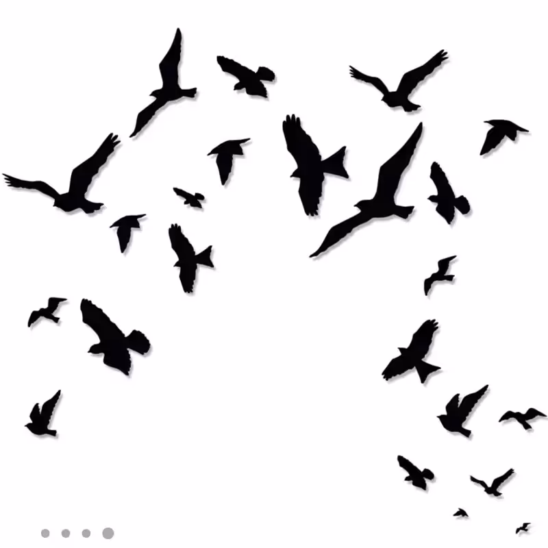 استیکرچوبی پرواز