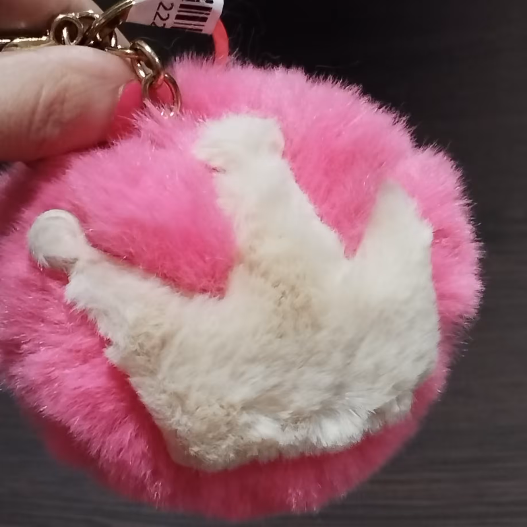 جاسوییچی پولیشی تاج