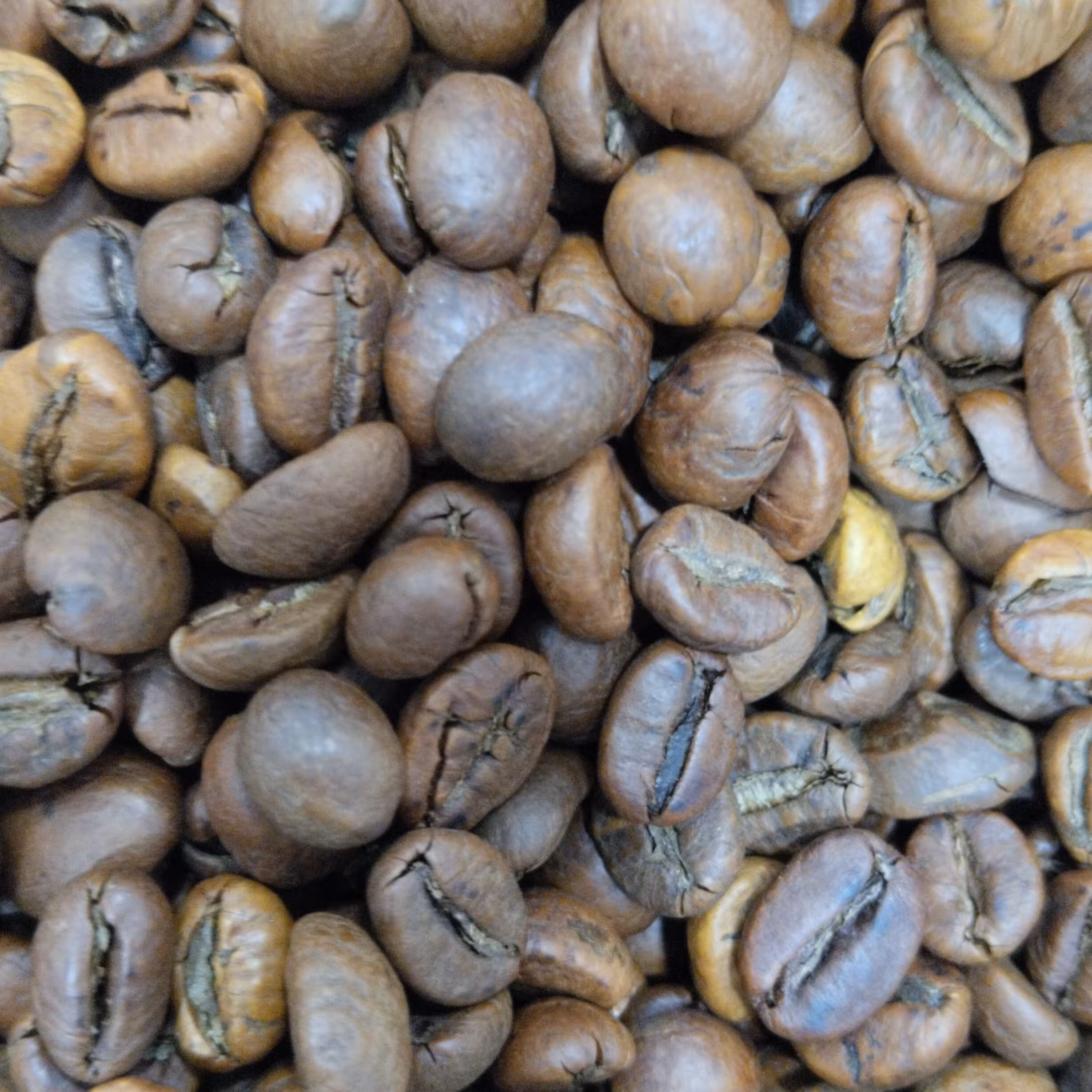 قهوه بو داده