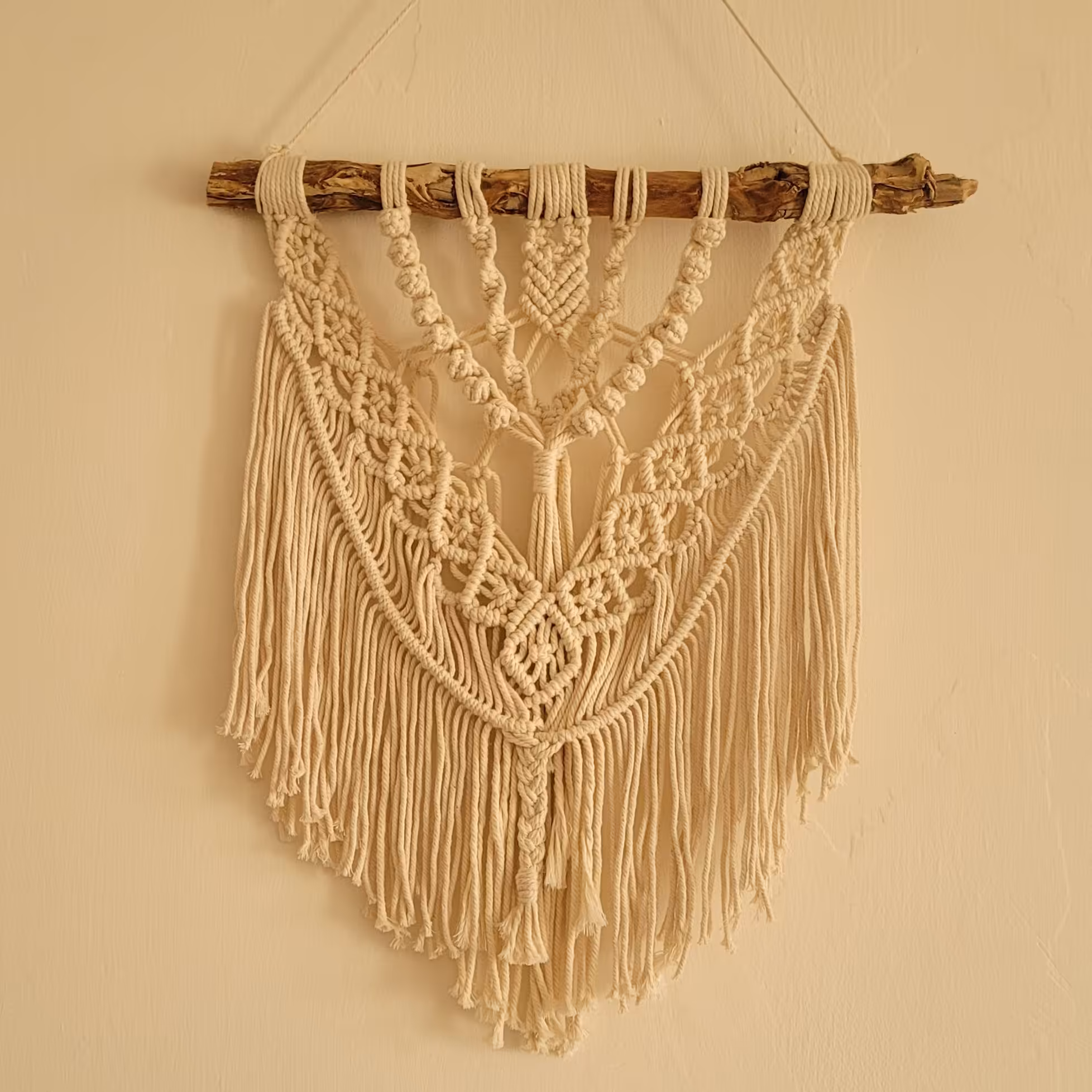 آویز مکرومه بافی به همراه چوب طبیعی در رنگ بندی متنوع