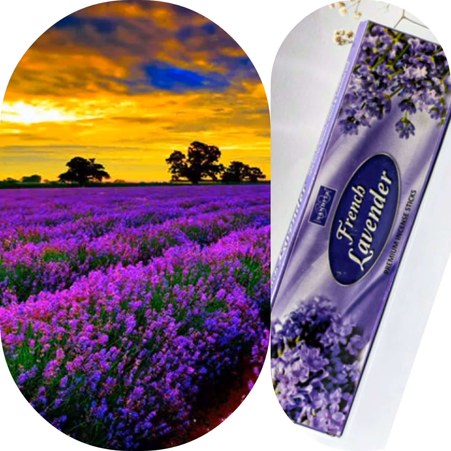 عود دستساز فِرِنچ لوندر( لوندر فرانسوی)           50 گرمی