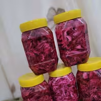 ترشی  اعلاجنوب1کیلویی