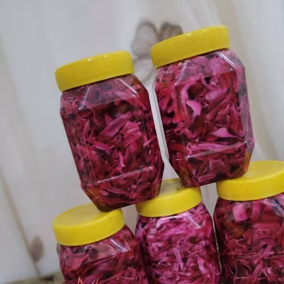 ترشی  اعلاجنوب1کیلویی