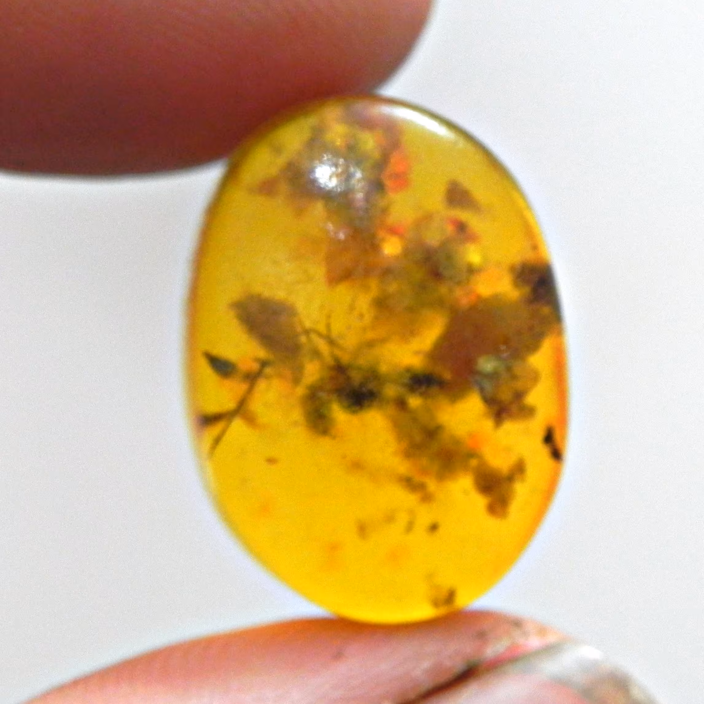 نگین سنگ کهربا پودری گیاه دار و مورچه دار زرد کد6 مناسب انگشتری تراش بیضی