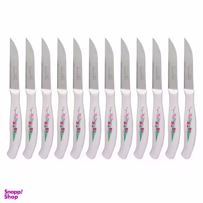 کارد میوه خوری مینیاتور مدل B1-12 بسته 12 عددی