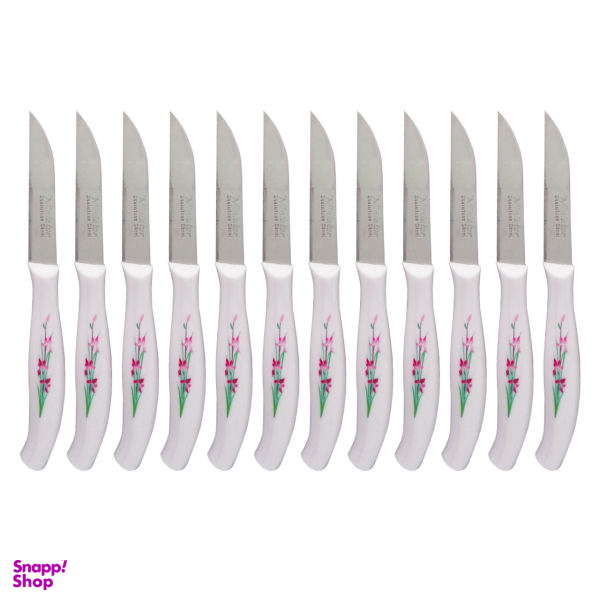 کارد میوه خوری مینیاتور مدل B1-12 بسته 12 عددی