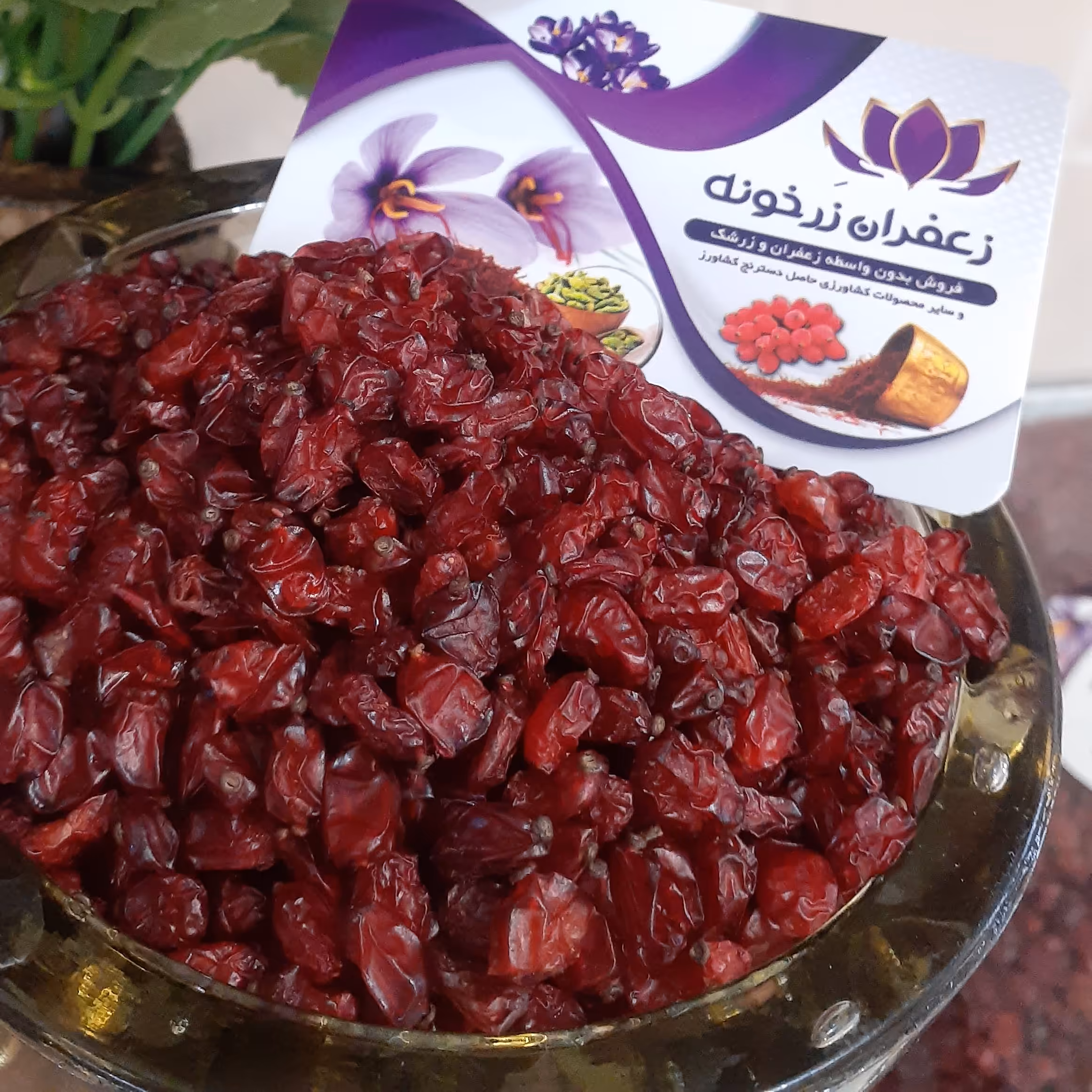 زرشک اناری امسالی تمیز و شسته شده