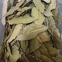 برگ بو اعلا یک کیلو 