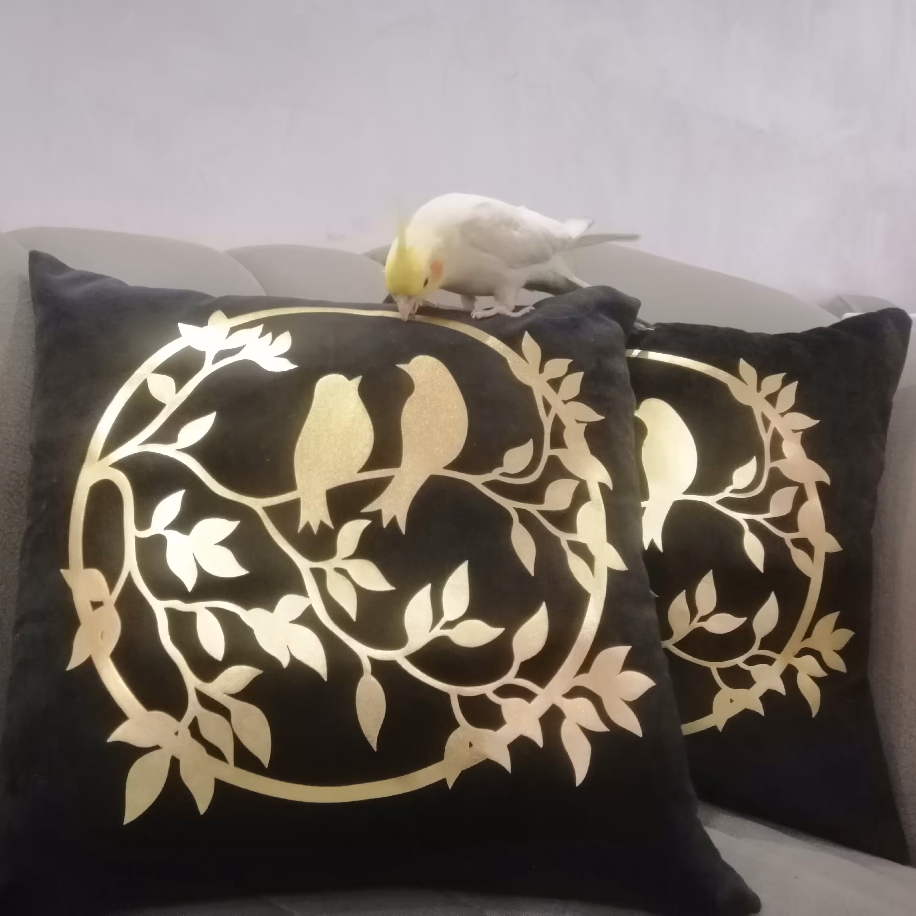 کوسن طرح پرنده 