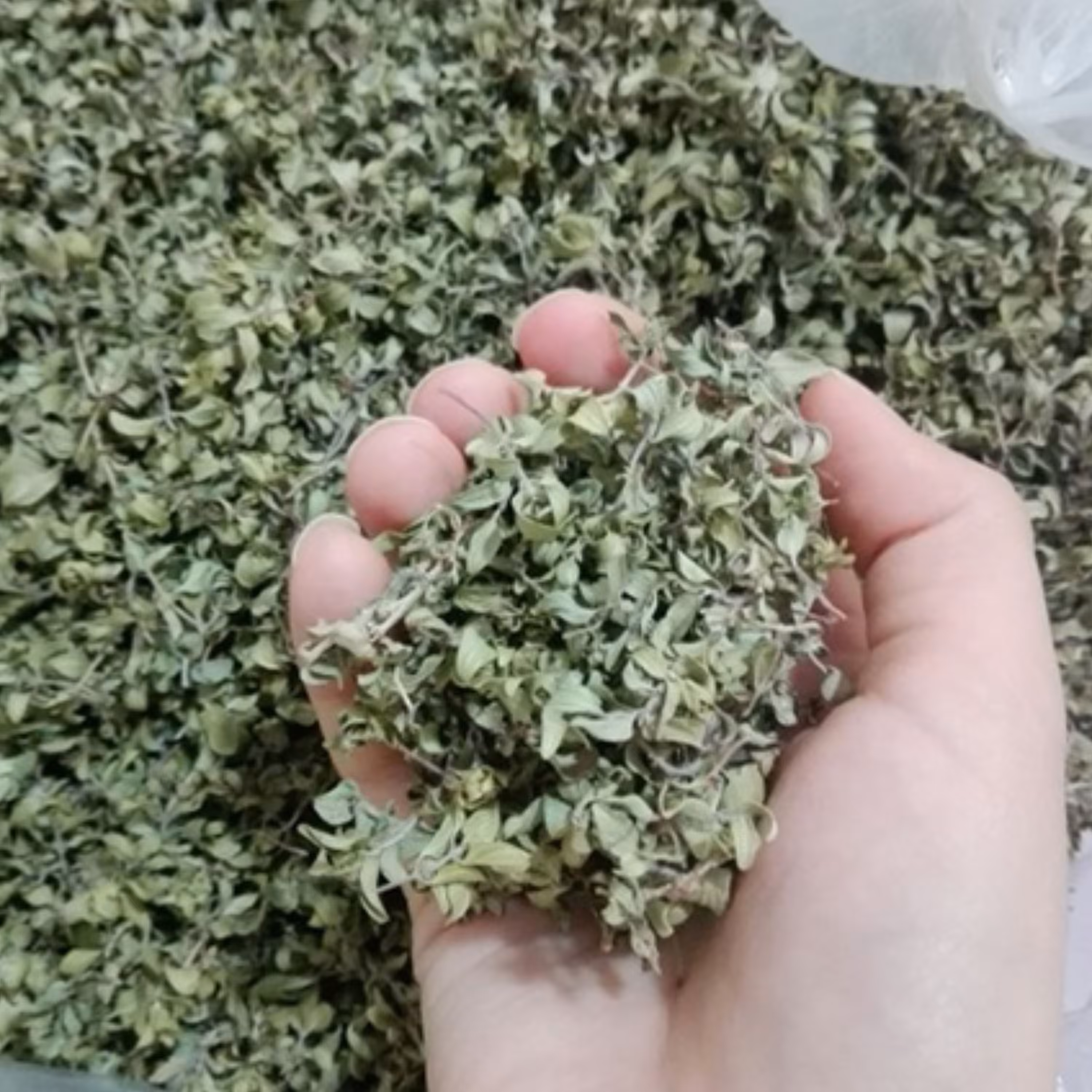 کاکوتی بسته 300 گرمی