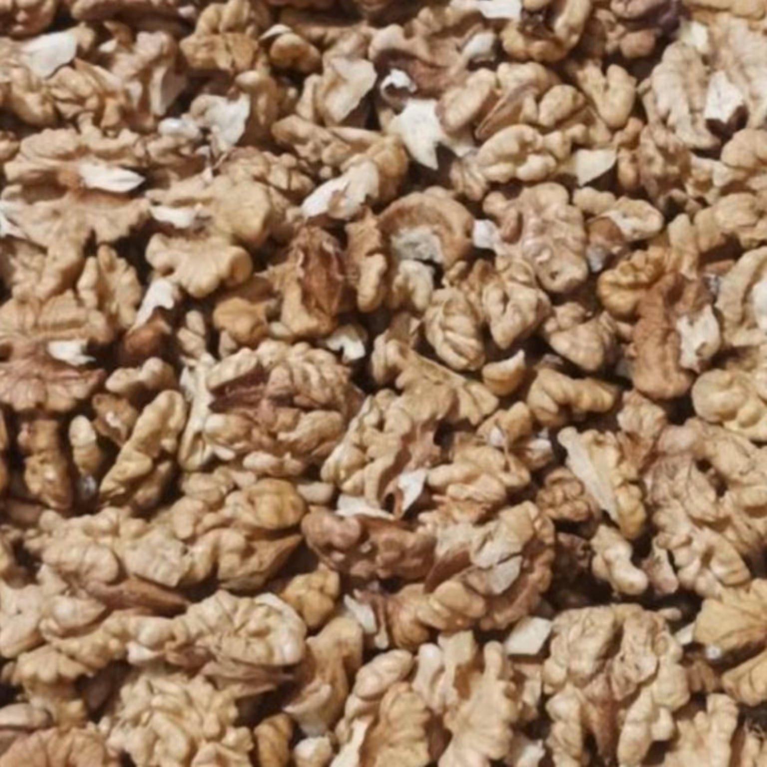 مغز گردوی اعلای پرچرب روز شکن مراغه امسالی  ارگانیک یک کیلوگرمی