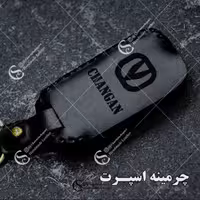 جاسوییچی چرم طبیعی گاوی مشکی مناسب چانگان