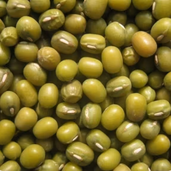 ماش اعلا 2کیلویی