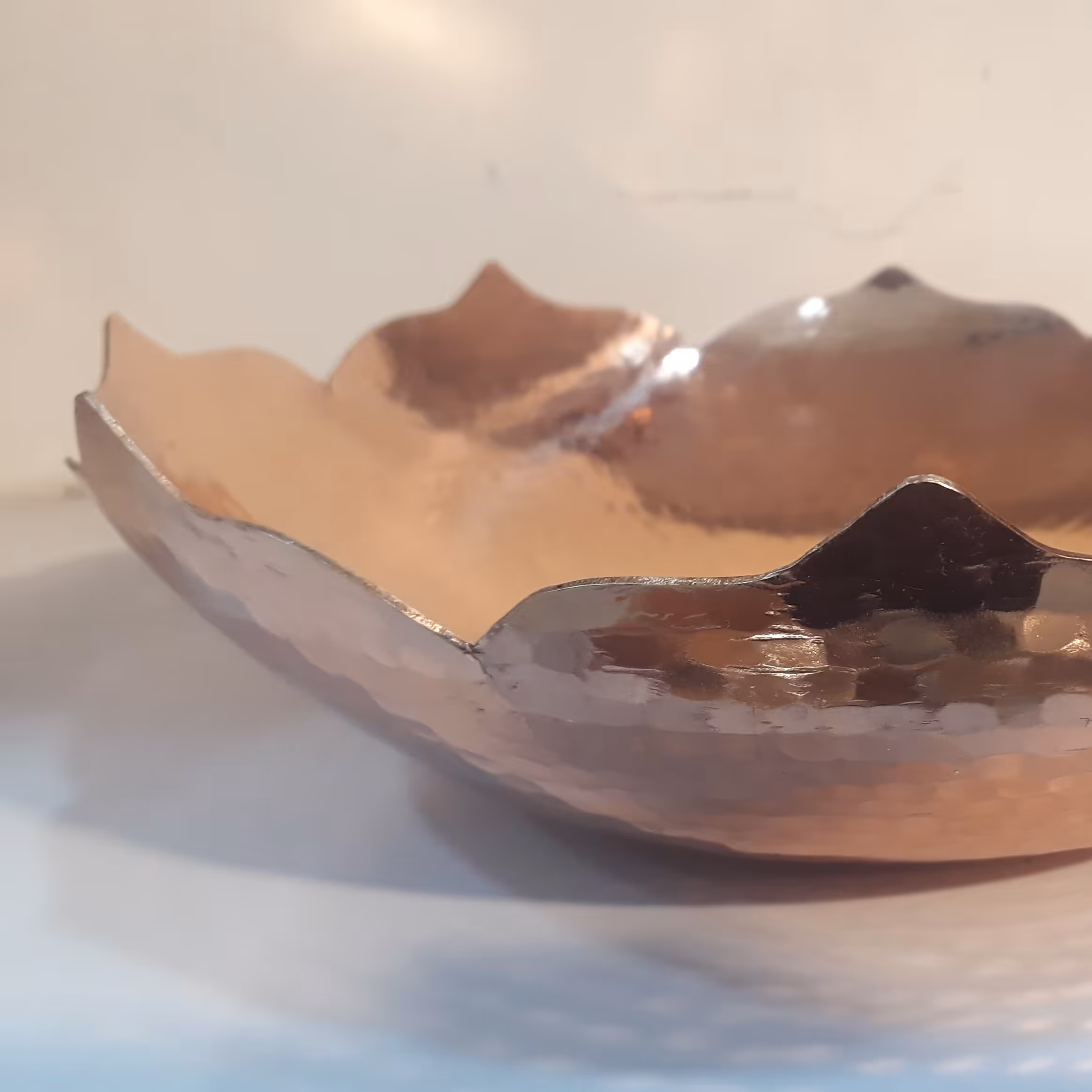 اجیل خوری بزرگ رز نانو