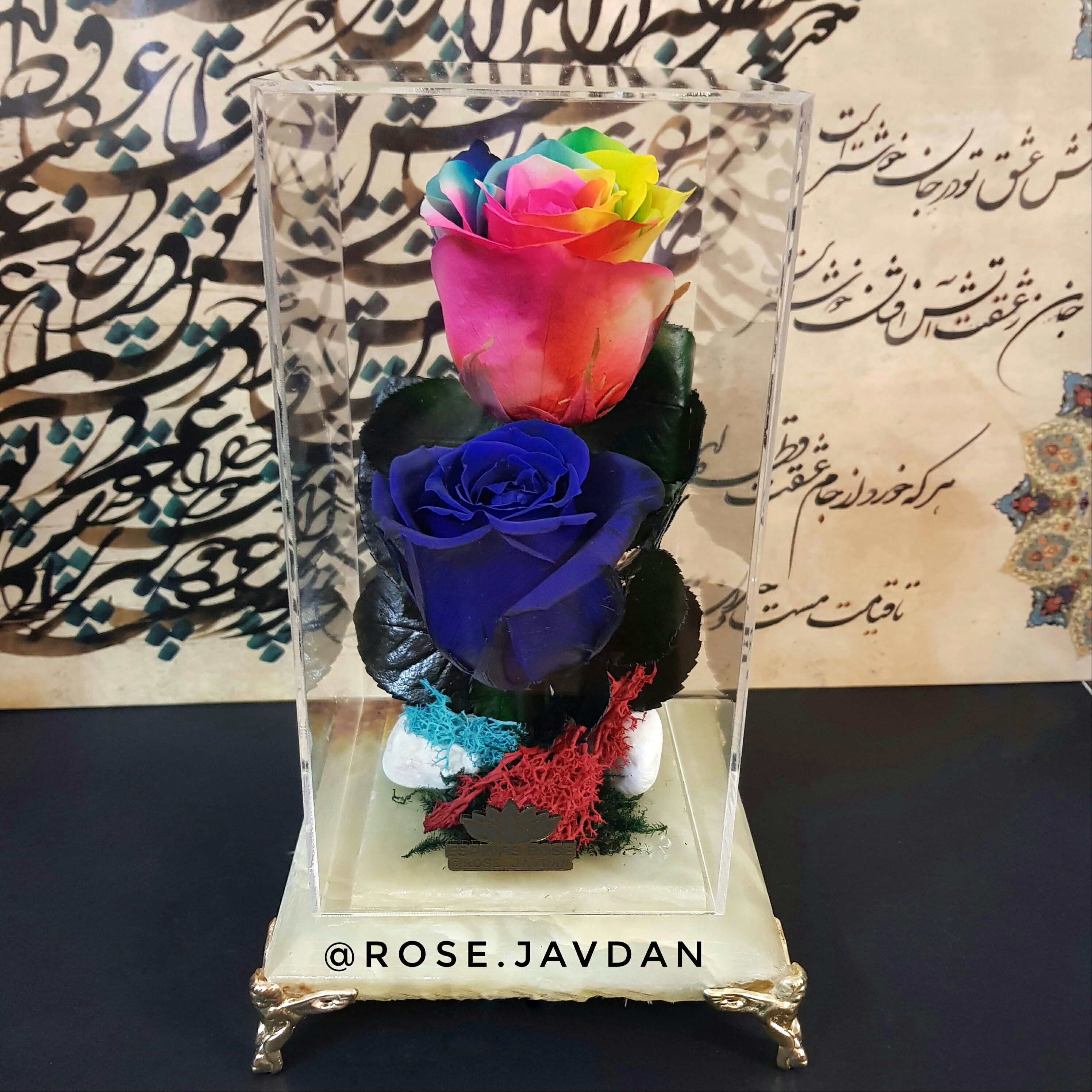 رز جاودان دو شاخه ای با باکس سنگ مرمر