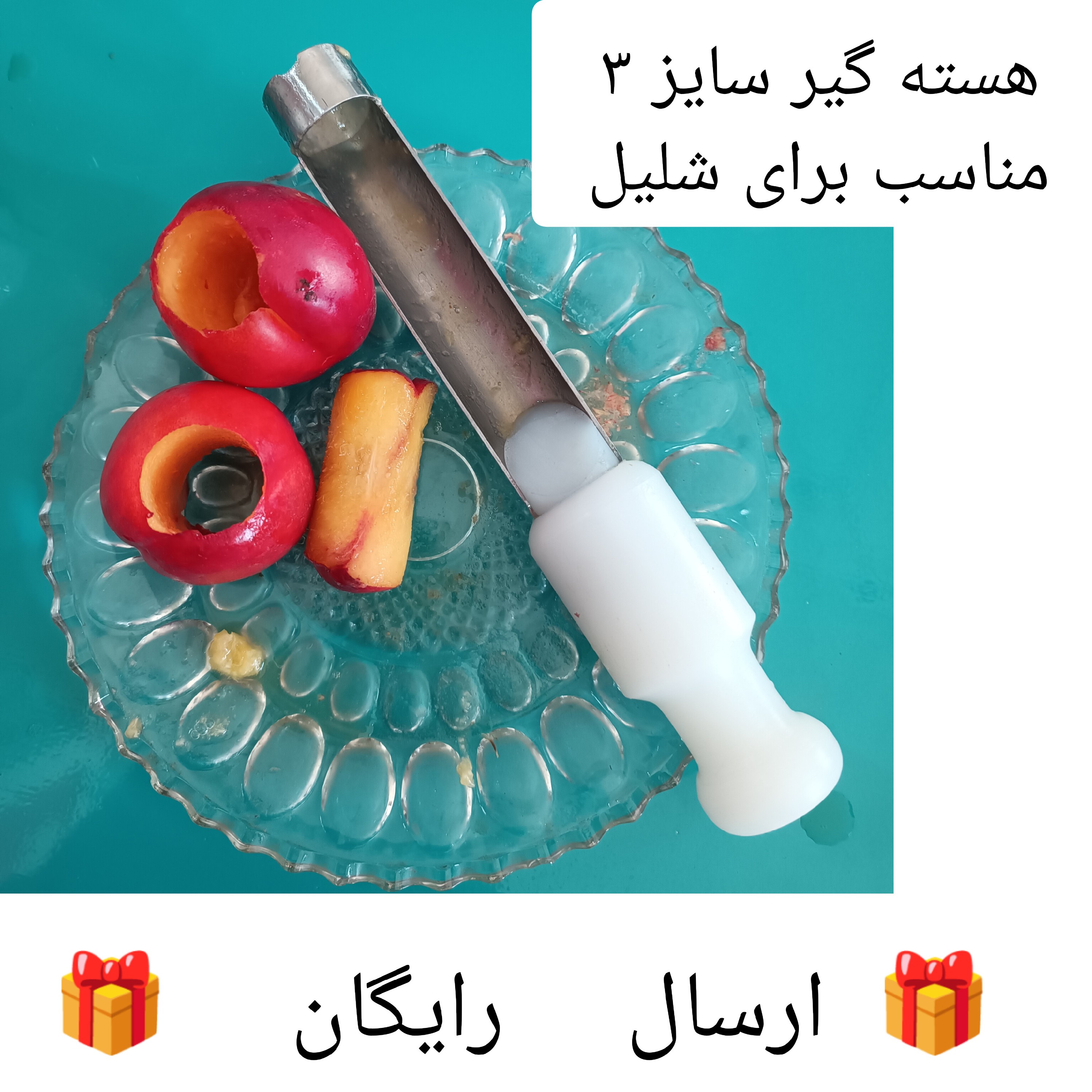 یک عدد هسته گیر آلو شلیل و هلو هسته گیر استیل هسته گیر برای آلو درشت هسته در آر