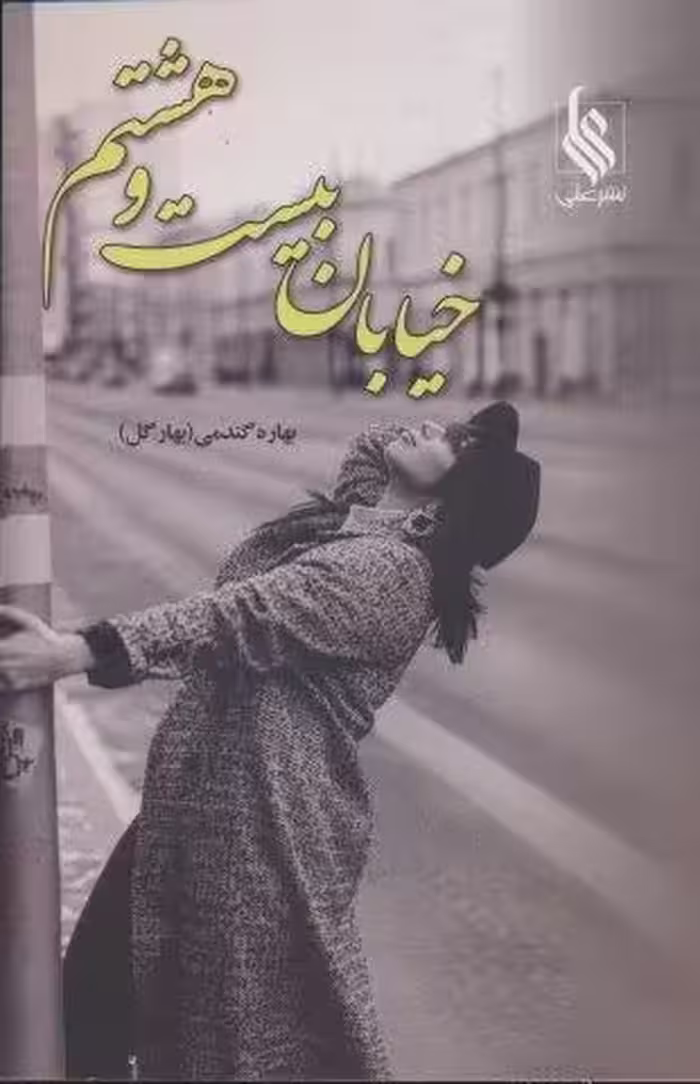 خیابان بیست و هشتم