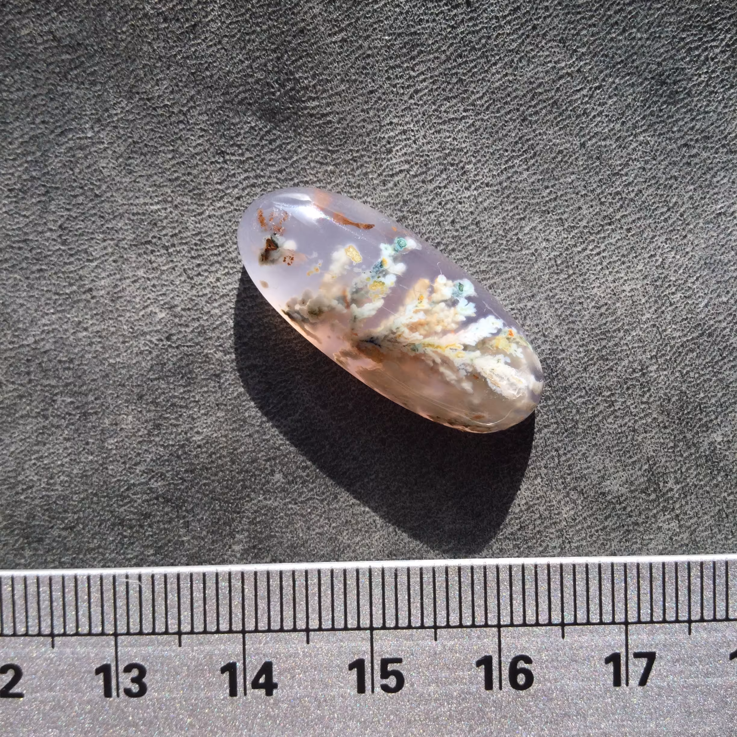 شجر ناب فردوس تراش بادامی کشیده و شکوفه های برفی 