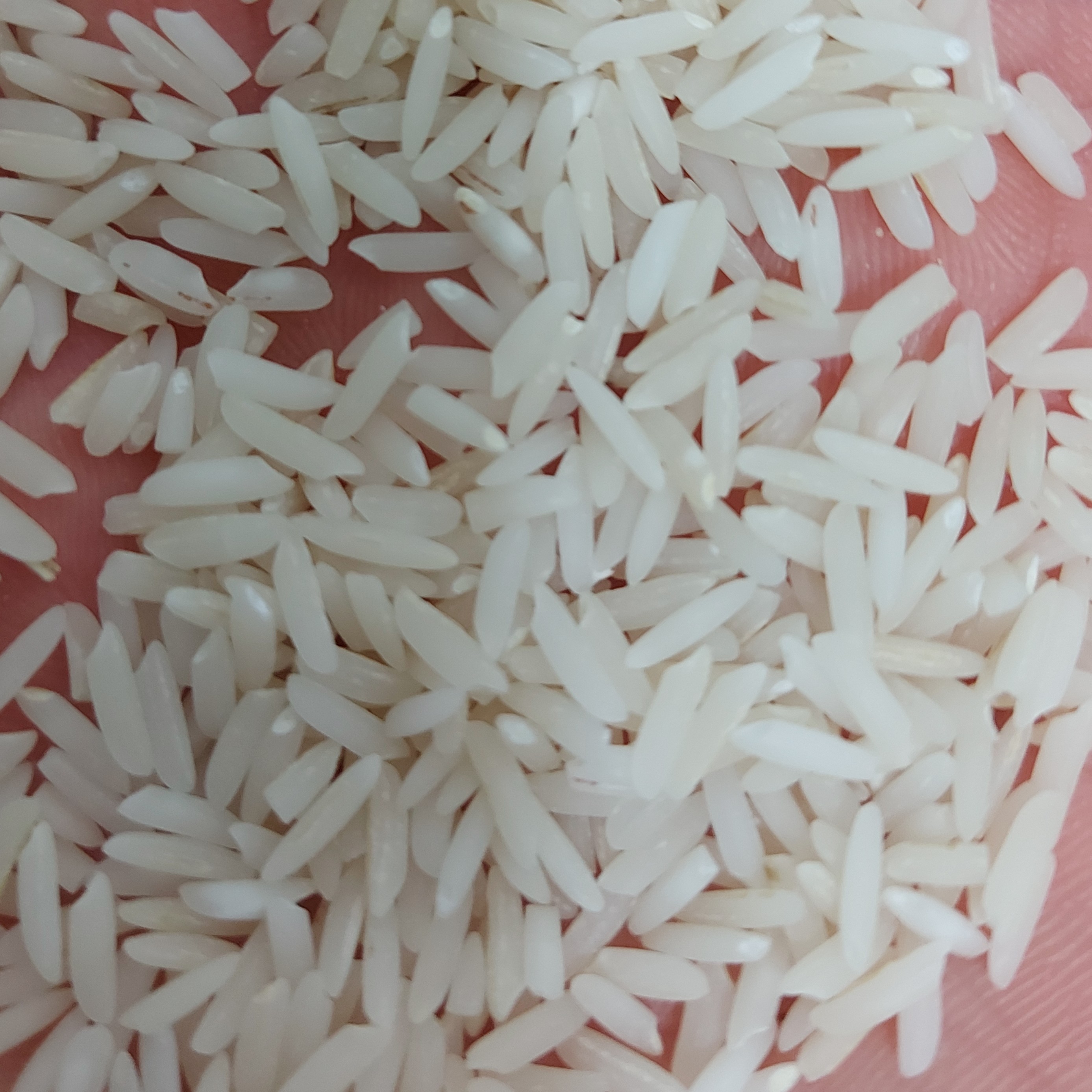 برنج طارم هاشمی بوجار شده