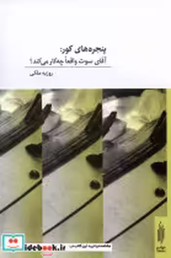 خرید کتاب پنجره های کور آقای سوث واقعاچه کار می کند توالی | ایده بوک