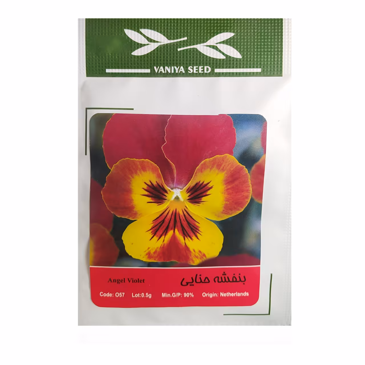 بذر گل بنفشه حنایی