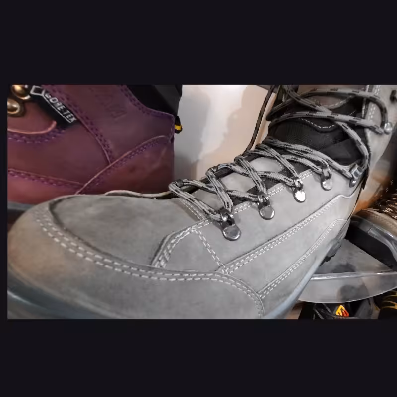 کفش کوهنوردی 