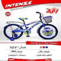 دوچرخه بچگانه اینتنس 20 257 2017