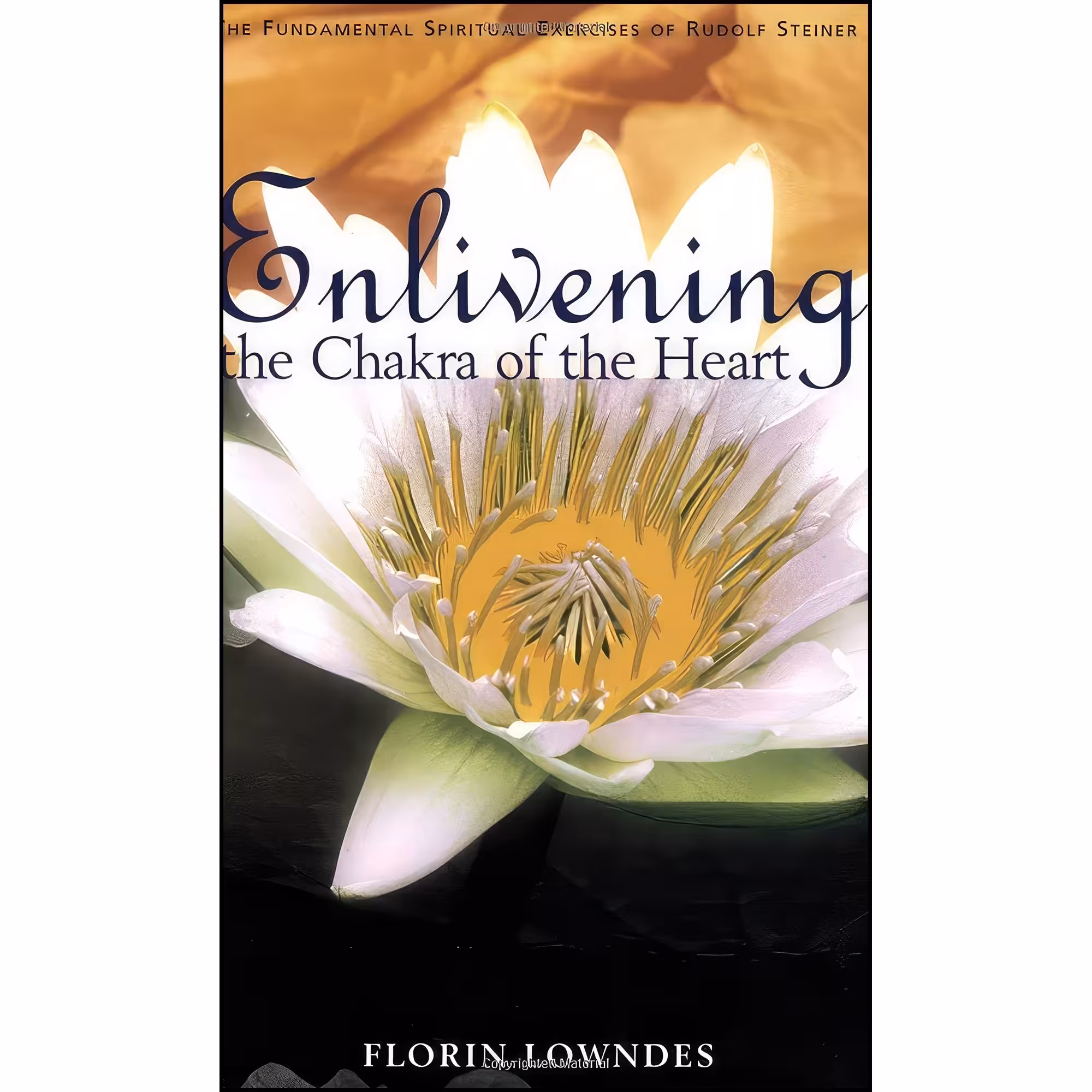 کتاب زبان اصلی Enlivening the Chakra of the Heart اثر Florin Lowndes