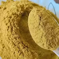 پودر آویشن برکت