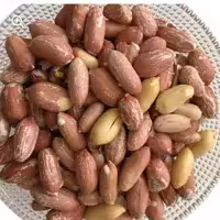 بادام زمینی 1403 دانه درشت آستانه اشرفیه یک کیلویی جهت تست