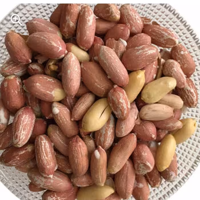 بادام زمینی 1403 دانه درشت آستانه اشرفیه یک کیلویی جهت تست