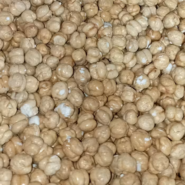 نخودچی شور بسته بندی 500 گرمی شالیزارصادق 